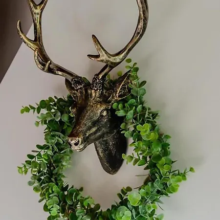 Eifel Am Ferienhaus Biersdorf