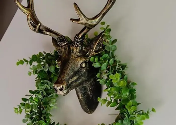 Eifel Am Ferienhaus Biersdorf